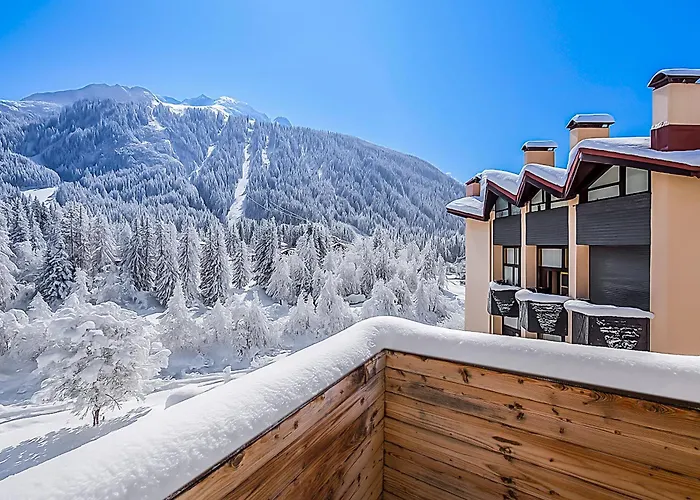 Apartment Grand Roc - Campanules 306 - Happy Chamonix